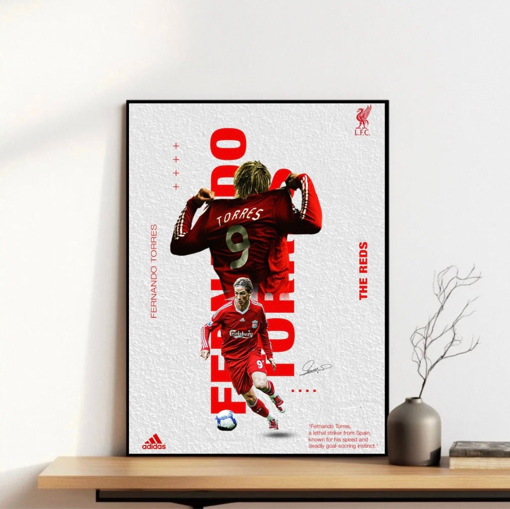 Fernando Torres Frame