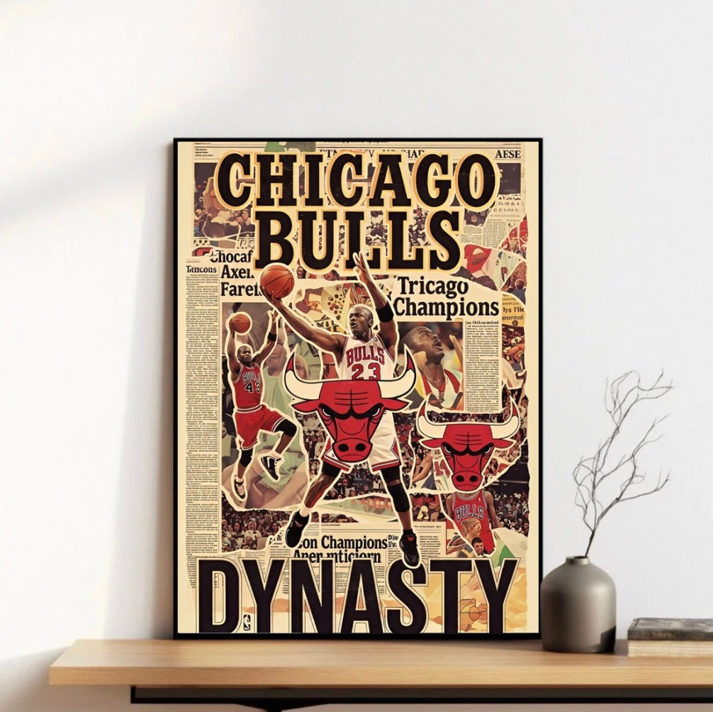 Chicago Bulls Frame